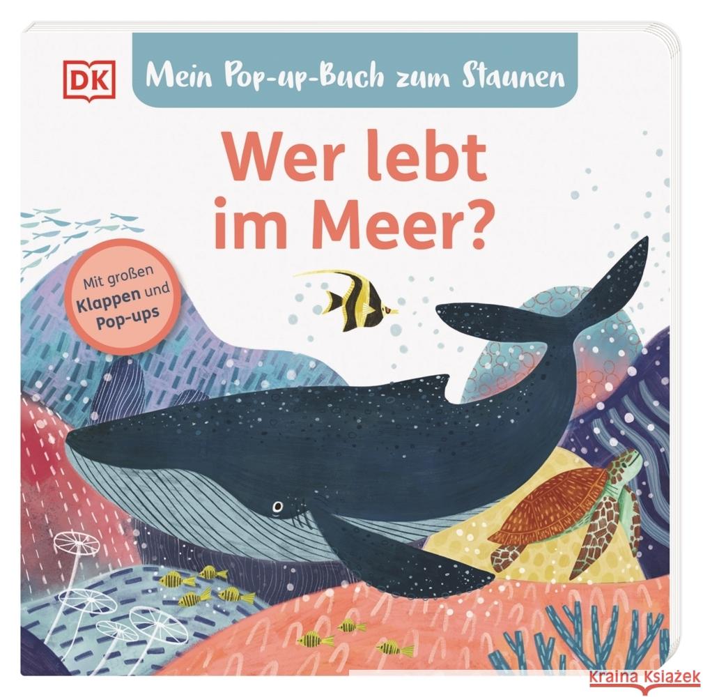 Mein Pop-up-Buch zum Staunen. Wer lebt im  Meer? Grimm, Sandra 9783831047130