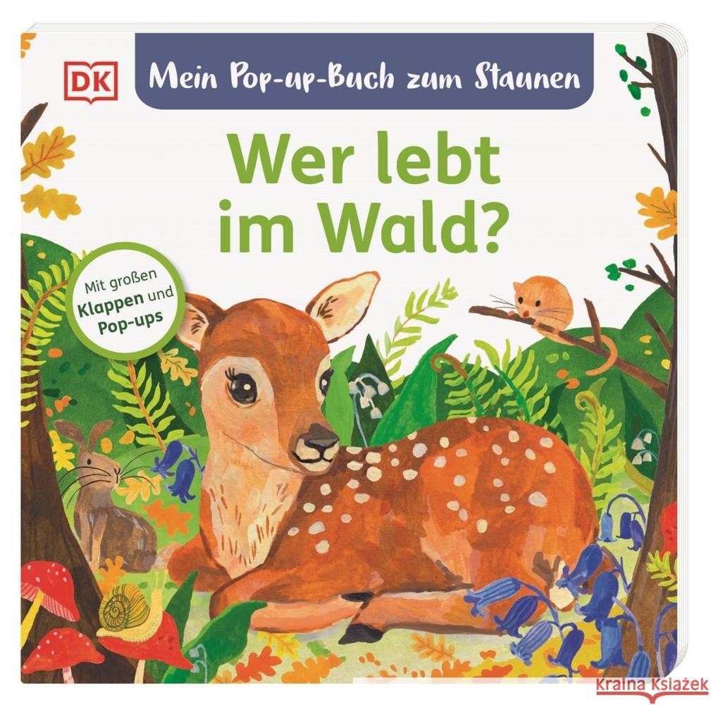 Mein Pop-up-Buch zum Staunen. Wer lebt im Wald? Grimm, Sandra 9783831047161