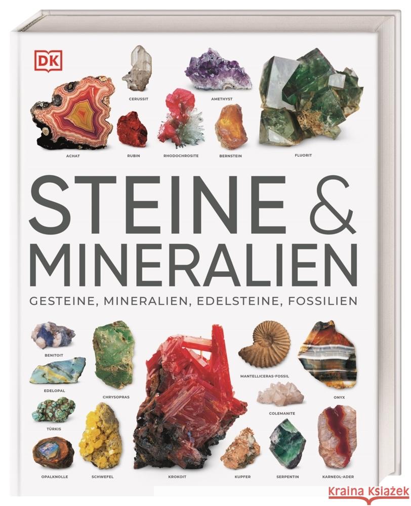 Steine & Mineralien Bonewitz, Ronald L. 9783831048069 Dorling Kindersley Verlag