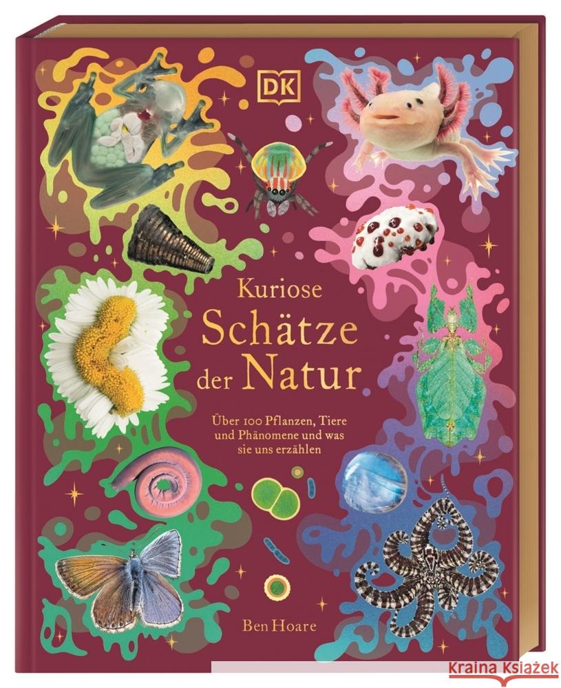 Kuriose Schätze der Natur Hoare, Ben 9783831049127