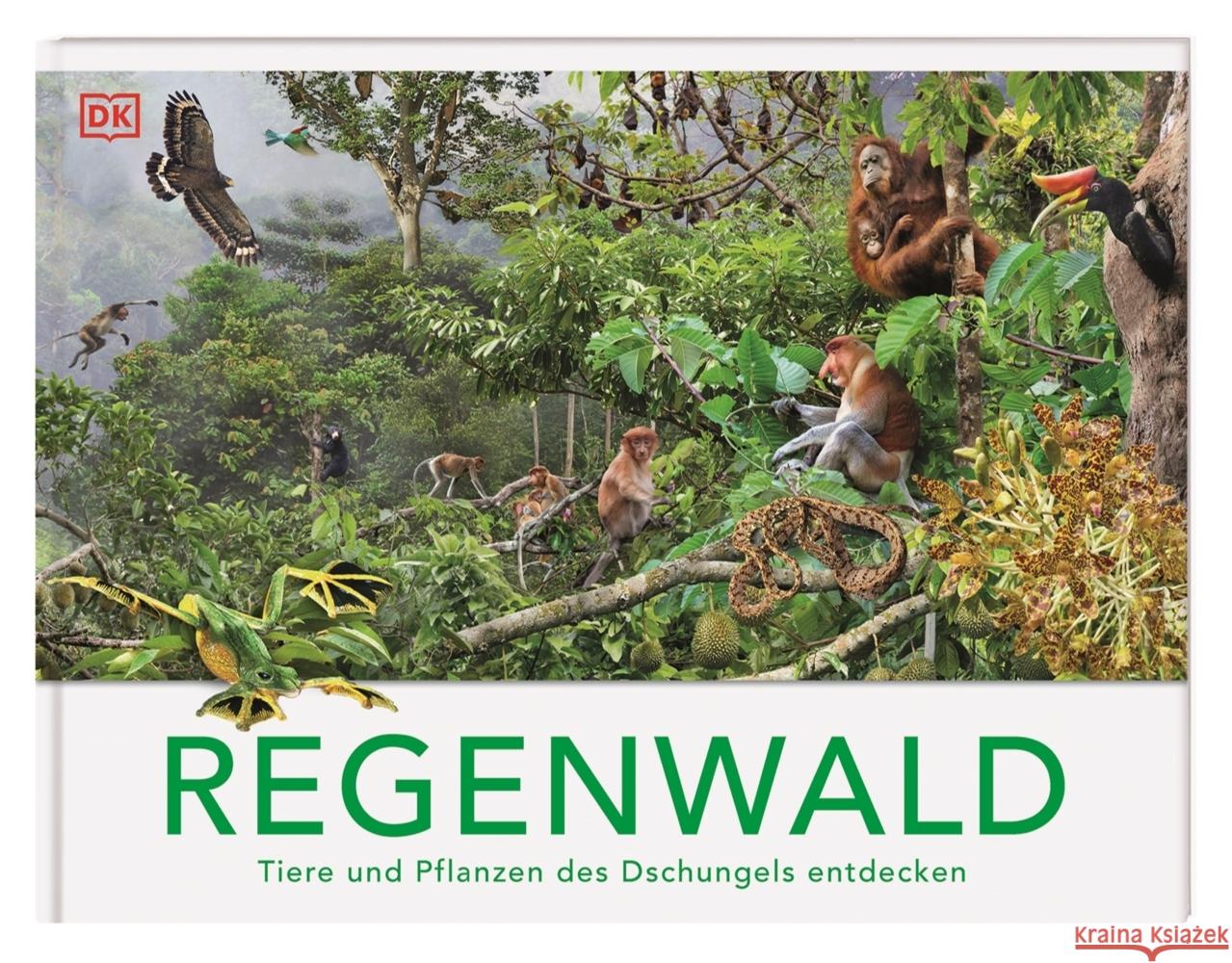 Regenwald Leach, Michael, Lland, Meriel 9783831051458