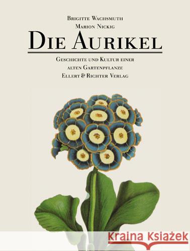 Die Aurikel : Geschichte und Kultur einer alten Gartenpflanze Wachsmuth, Brigitte Nickig, Marion  9783831901692 Ellert & Richter