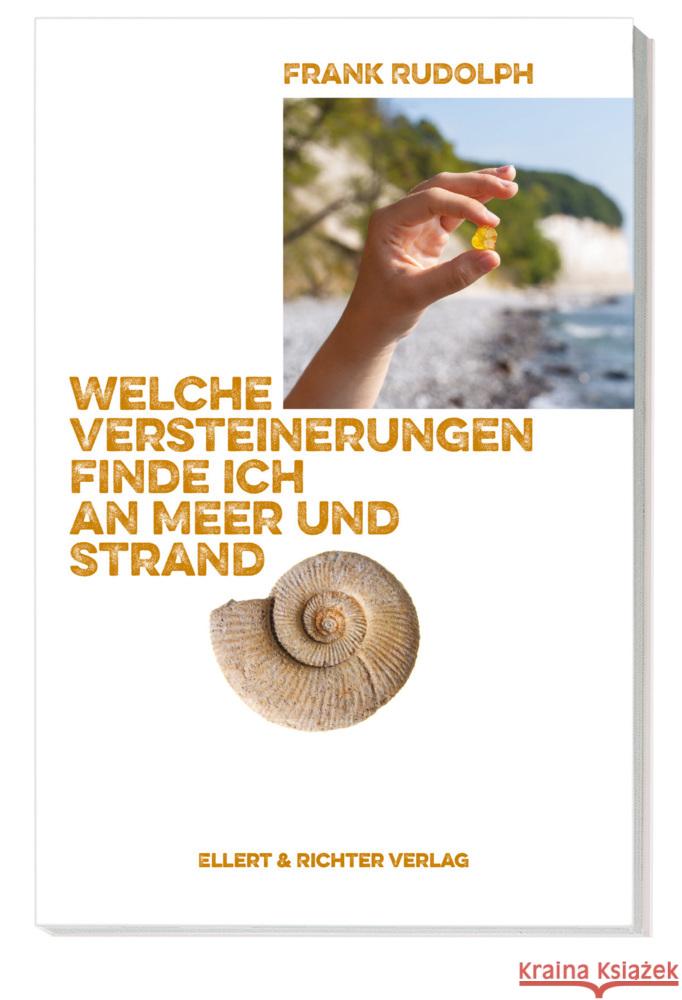 Welche Versteinerungen finde ich an Meer und Strand Rudolph, Frank 9783831908547