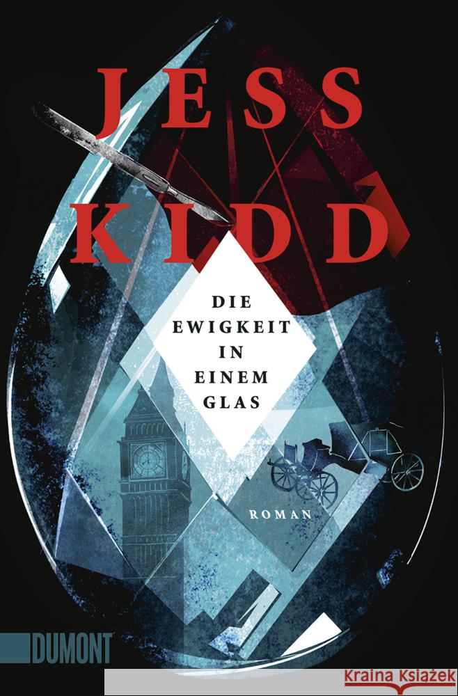 Die Ewigkeit in einem Glas Kidd, Jess 9783832165512