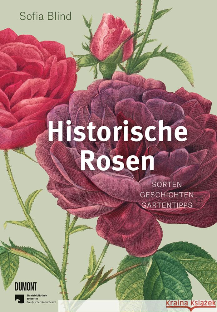 Historische Rosen Blind, Sofia 9783832169268