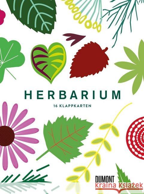 Herbarium, 16 Klappkarten Hildebrand, Caz 9783832199449