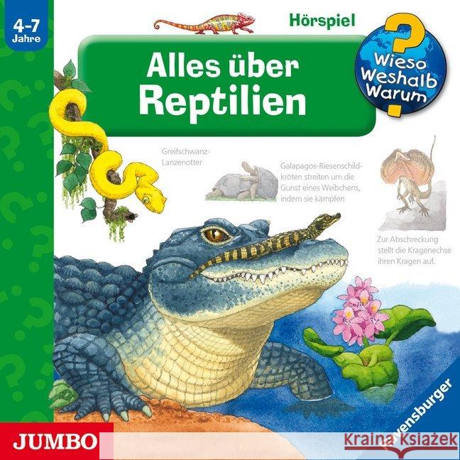 Alles über Reptilien, 1 Audio-CD : CD Standard Audio Format, Hörspiel Mennen, Patricia 9783833737619 Jumbo Neue Medien