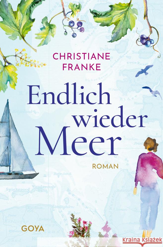 Endlich wieder Meer Franke, Christiane 9783833745829