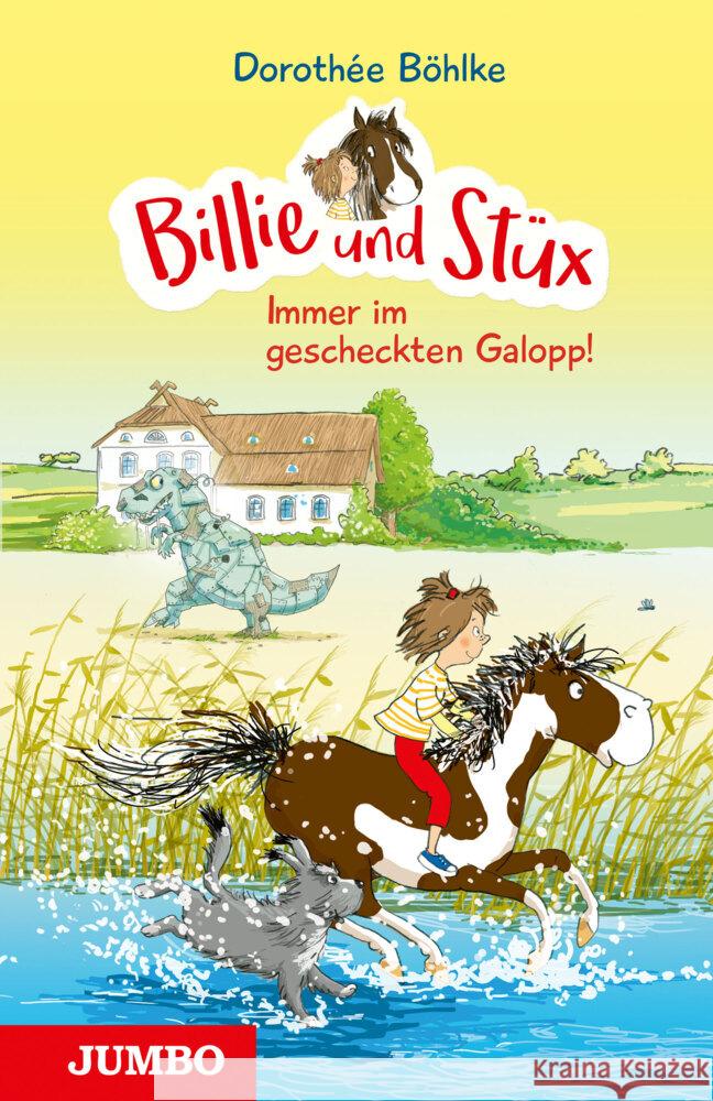 Billie und Stüx 2 Böhlke, Dorothée 9783833749247