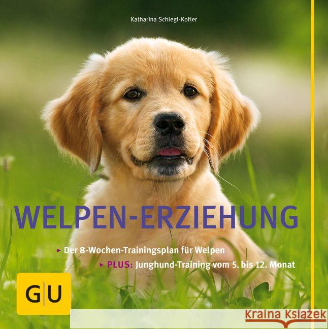Welpen-Erziehung : Der 8-Wochen-Trainingsplan für Welpen. Plus Junghund-Training vom 5. bis 12. Monat Schlegl-Kofler, Katharina   9783833811715