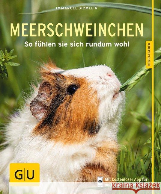 Meerschweinchen : So fühlen sie sich rundum wohl. Inkl. App Birmelin, Immanuel 9783833836398 Gräfe & Unzer