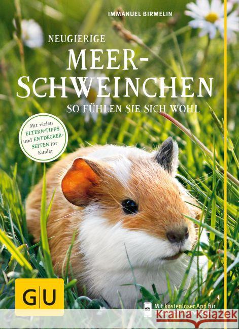 Neugierige Meerschweinchen : So fühlen sie sich wohl. Mit vielen Eltern-Tipps und Entdecker-Seiten für Kinder. Mit kostenlosen Apps für noch mehr Tierwissen Birmelin, Immanuel 9783833842160 Gräfe & Unzer