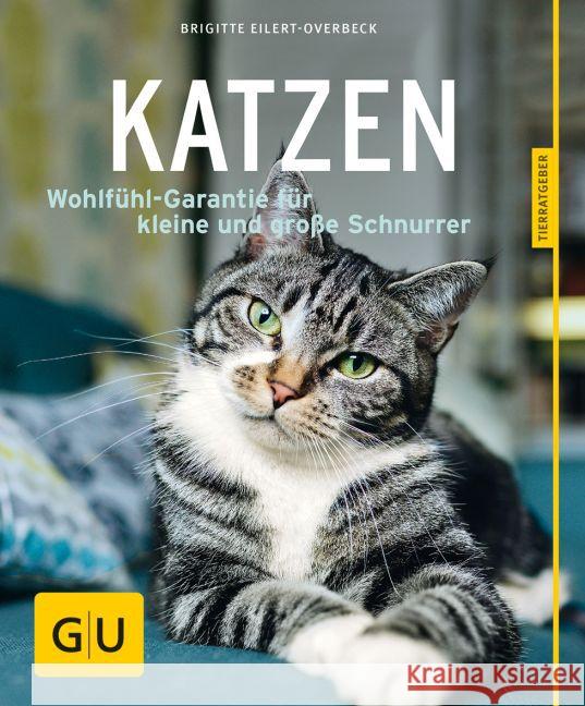 Katzen : Wohlfühl-Garantie für kleine und große Schnurrer Eilert-Overbeck, Brigitte 9783833852176 Gräfe & Unzer