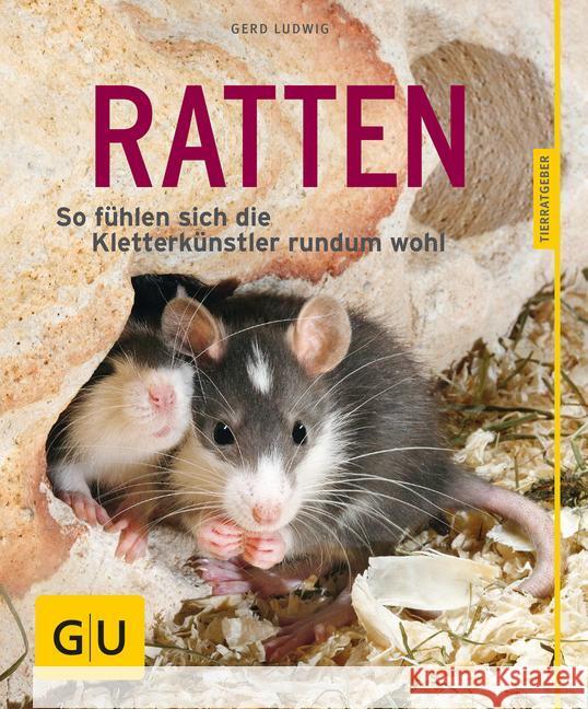 Ratten : So fühlen sich die Kletterkünstler rundum wohl Ludwig, Gerd 9783833855078 Gräfe & Unzer