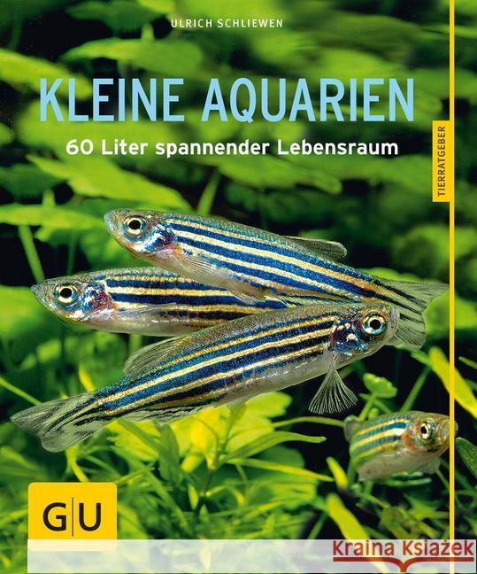 Kleine Aquarien : 60 Liter spannender Lebensraum Schliewen, Ulrich 9783833855085 Gräfe & Unzer