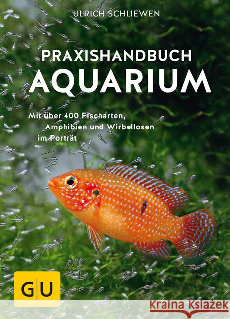 Praxishandbuch Aquarium : Mit über 400 Fischarten, Amphibien und Wirbellosen im Porträt Schliewen, Ulrich 9783833861390 Gräfe & Unzer