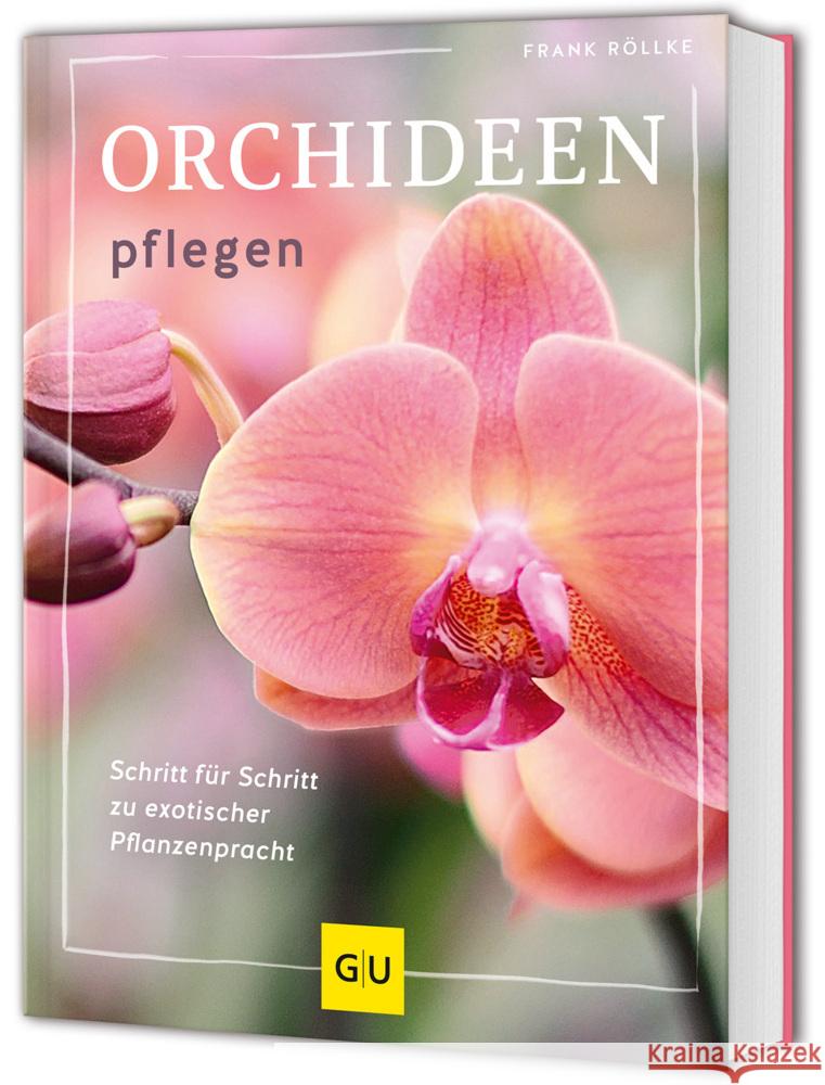 Orchideen pflegen Röllke, Frank 9783833896774 Gräfe & Unzer