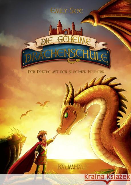 Die geheime Drachenschule - Der Drache mit den silbernen Hörnern Skye, Emily 9783833905810