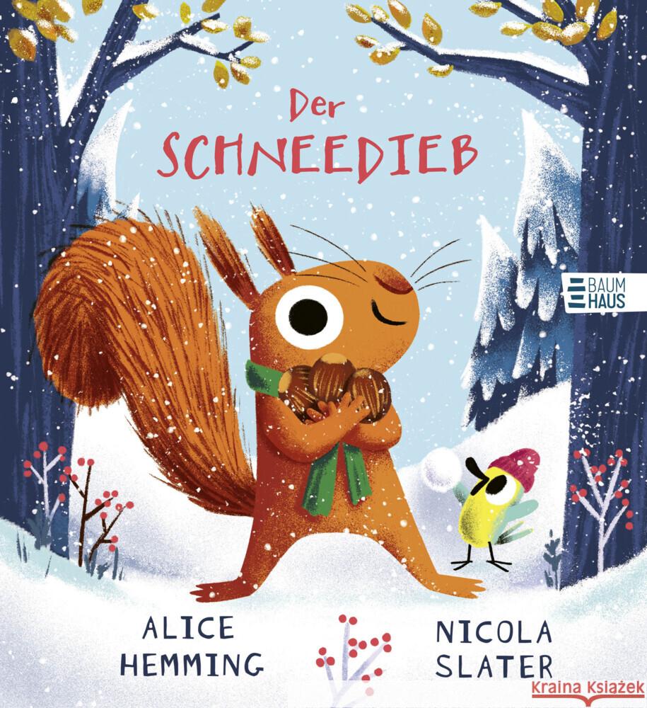 Der Schneedieb Hemming, Alice 9783833909450