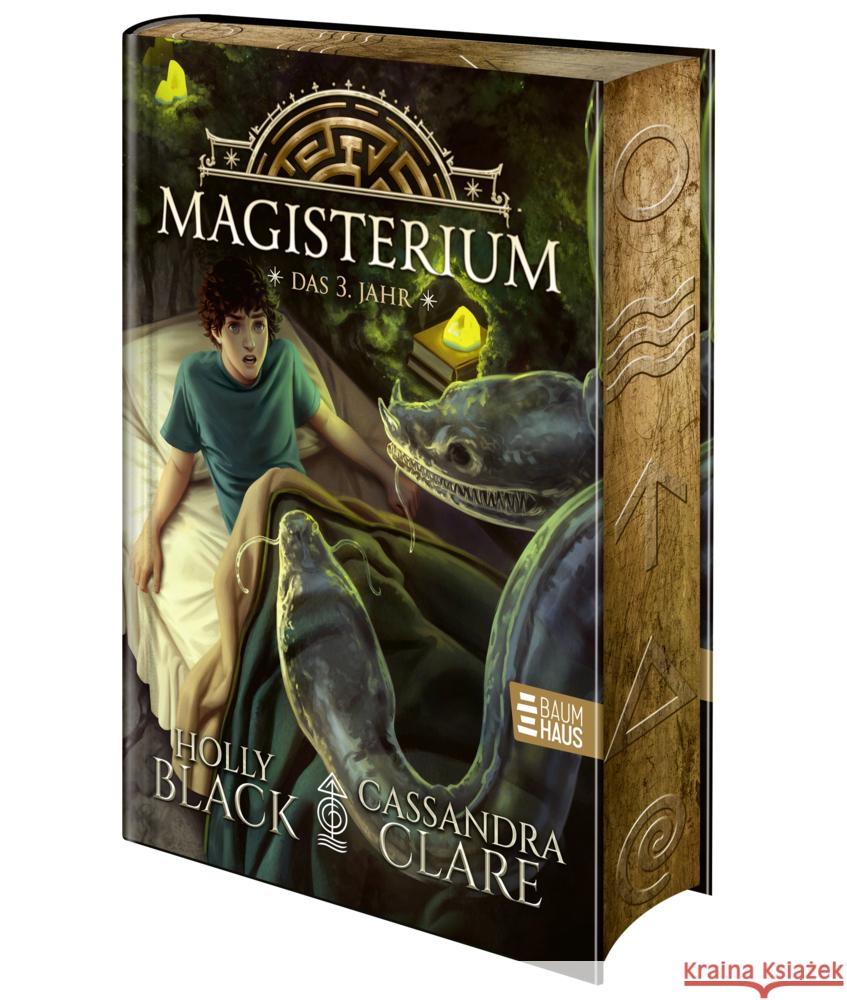 Magisterium - Das 3. Jahr Clare, Cassandra, Black, Holly 9783833909887 Baumhaus Medien