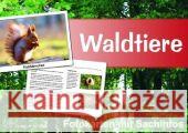 Waldtiere - Fotokarten mit Sachinfos Jung, Heike   9783834604323 Verlag an der Ruhr