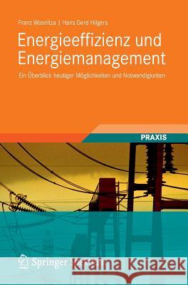 Energieeffizienz Und Energiemanagement: Ein Überblick Heutiger Möglichkeiten Und Notwendigkeiten Wosnitza, Franz 9783834819413 Vieweg+teubner Verlag