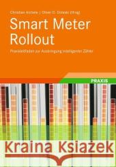 Smart Meter Rollout: Praxisleitfaden Zur Ausbringung Intelligenter Zähler Aichele, Christian 9783834824394 Springer Vieweg