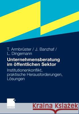 Unternehmensberatung Im Öffentlichen Sektor: Institutionenkonflikt, Praktische Herausforderungen, Lösungen Armbrüster, Thomas 9783834923042