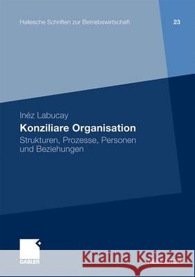 Konziliare Organisation: Strukturen, Prozesse, Personen Und Beziehungen Labucay, Inéz 9783834923578 Gabler