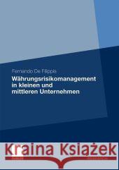 Währungsrisikomanagement in Kleinen Und Mittleren Unternehmen De Filippis, Fernando 9783834925442 Gabler