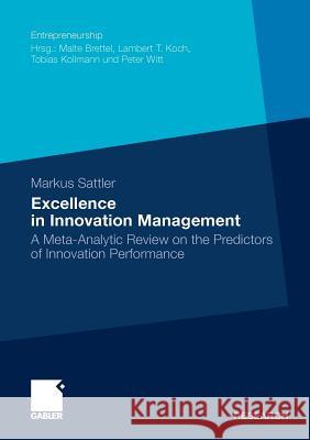 Excellence in Innovation Management: A Meta-Analytic Review on the Predictors of Innovation Performance Sattler, Markus 9783834926210 Gabler