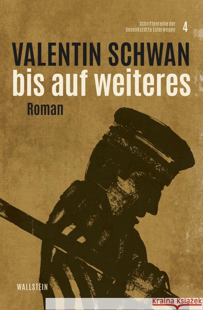 Bis auf Weiteres Schwan, Valentin 9783835353787 Wallstein