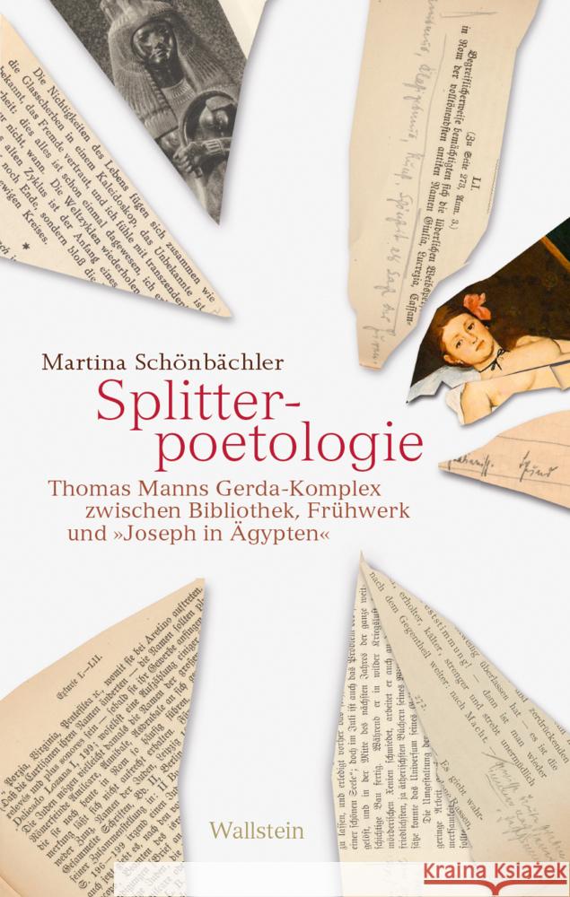 Splitterpoetologie Schönbächler, Martina 9783835356115