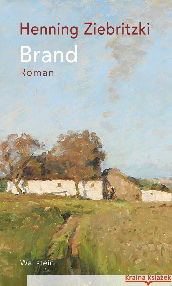 Brand Ziebritzki, Henning 9783835358577 Wallstein