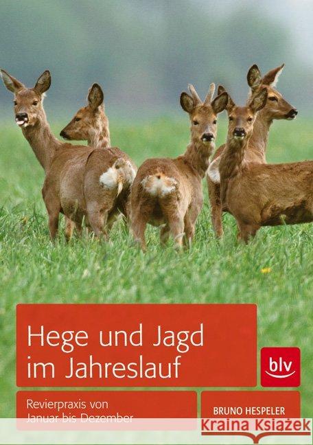 Hege und Jagd im Jahreslauf : Revierpraxis von Januar bis Dezember Hespeler, Bruno 9783835414310