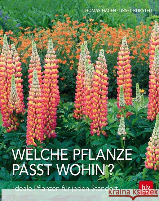 Welche Pflanze passt wohin? : Ideale Pflanzen für jeden Standort Hagen, Thomas; Borstell, Ursel 9783835414464 BLV Buchverlag