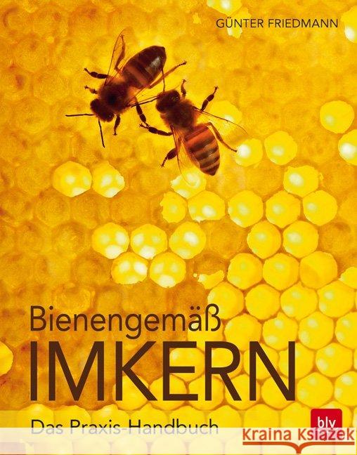 Bienengemäß imkern : Das Praxis-Handbuch Friedmann, Günter; Sust, Angelika 9783835415447