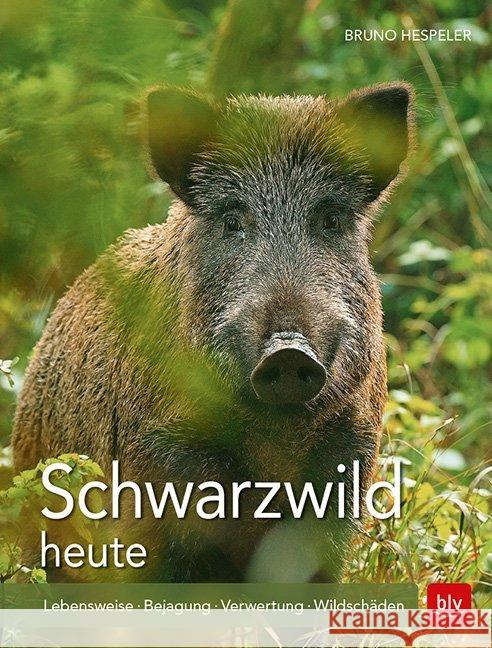 Schwarzwild heute : Lebensweise · Bejagung · Verwertung · Wildschäden Hespeler, Bruno 9783835418028