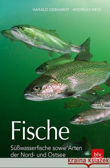 Fische : Süßwasserfische sowie Arten der Nord- und Ostsee Gebhardt, Harald; Ness, Andreas 9783835418912