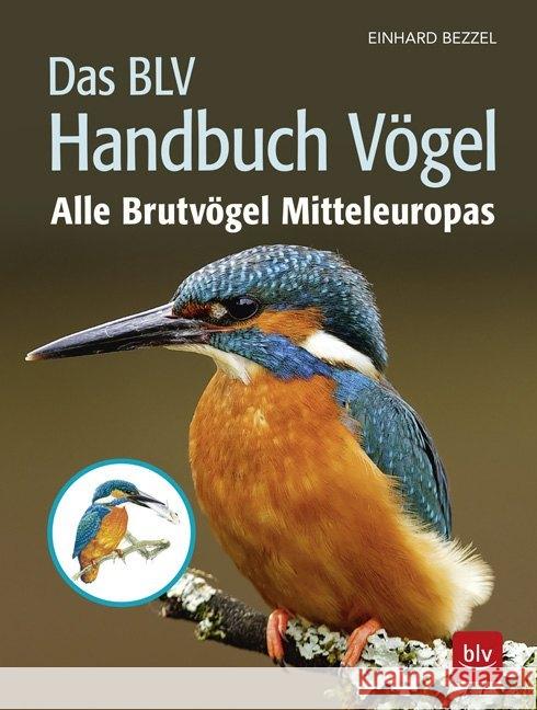 Das BLV Handbuch Vögel : Alle Brutvögel Mitteleuropas Bezzel, Einhard 9783835419087