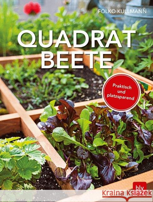 Quadratbeete : Praktisch und platzsparend Kullmann, Folko 9783835419124 BLV Buchverlag