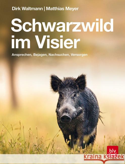 Schwarzwild im Visier : Ansprechen, Bejagen, Nachsuchen, Versorgen Waltmann, Dirk; Meyer, Matthias 9783835419629