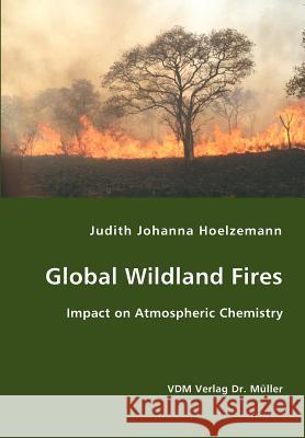 Global Wildland Fires Judith Johanna Hoelzemann 9783836411936 VDM Verlag