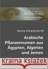 Arabische Pflanzennamen aus Ägypten, Algerien und Jemen Schweinfurth, Georg 9783836423311 VDM Verlag Dr. Müller