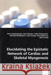 Elucidating the Epistatic Network of Cardiac and Skeletal Myogenesis Peter Gianakopoulos Ilona Skerjanc Helen Petropoulos 9783836489805 VDM Verlag