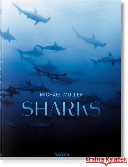 Michael Muller. Sharks Cousteau, Philippe 9783836553599