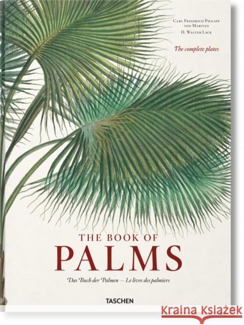 Martius. The Book of Palms H. Walter Lack 9783836566148 Taschen GmbH
