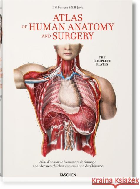 Bourgery. Atlas of Human Anatomy and Surgery Minor, Jean-Marie Le 9783836568982 Taschen GmbH