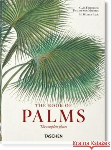 Martius. The Book of Palms. 40th Ed. H. Walter Lack 9783836587815