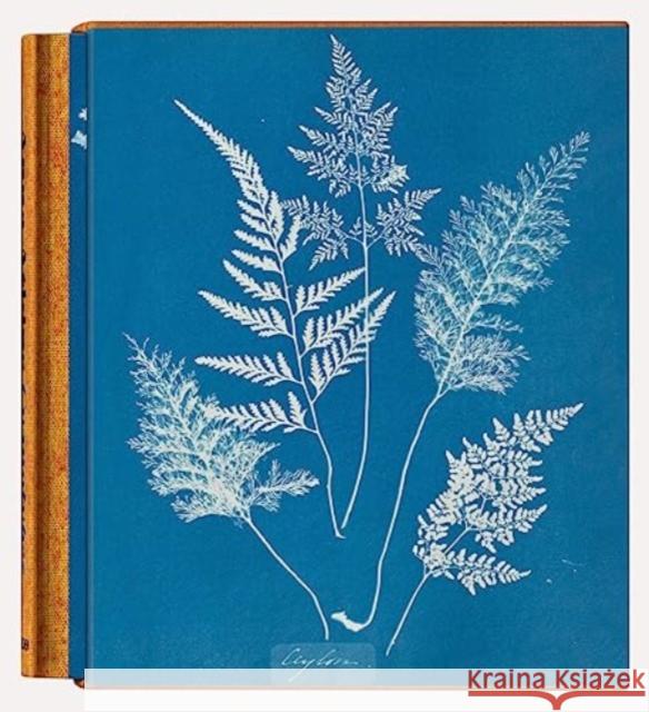 Anna Atkins. Cyanotypes Peter Walther 9783836596039 Taschen GmbH